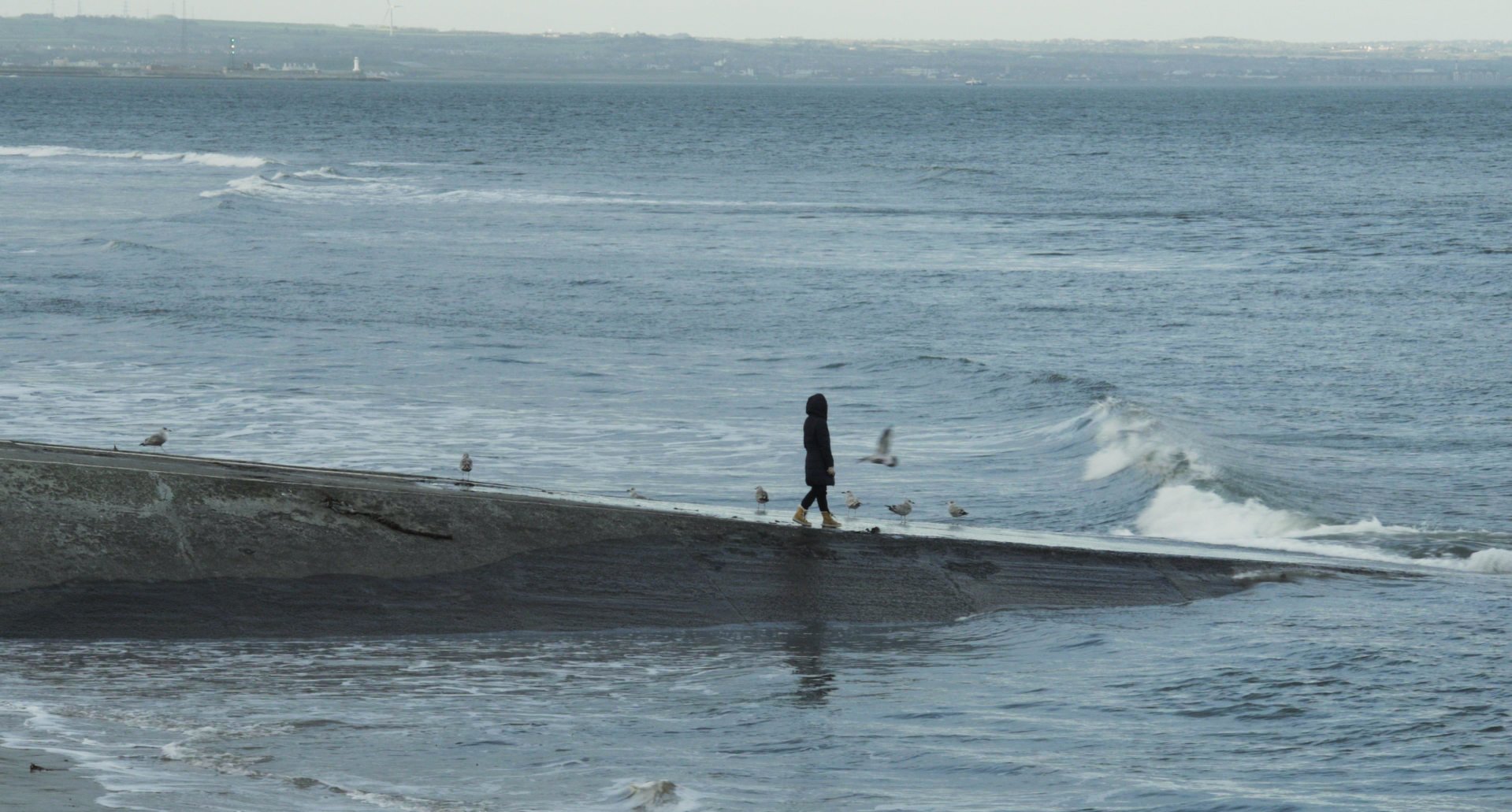 From the film <b><i>Limits of Europe</i></b> (2024, dir. Apolena Rychlíková)