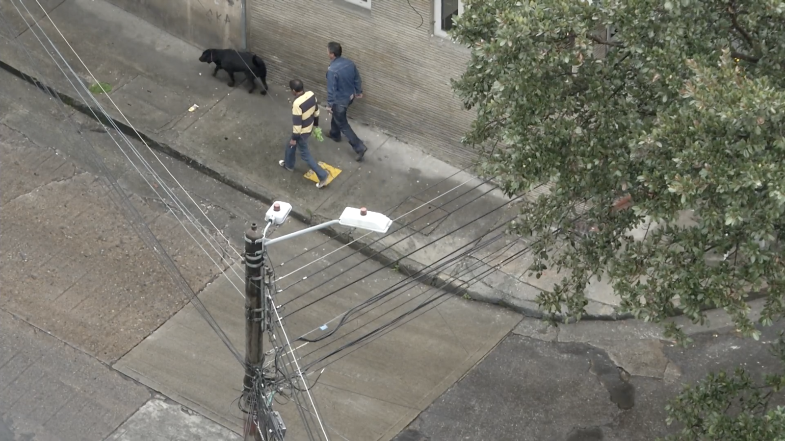 From <b><i> 19th Floor</b></> (by Patricia Ayala Ruiz, 2026). Source Ji.hlava IDFF