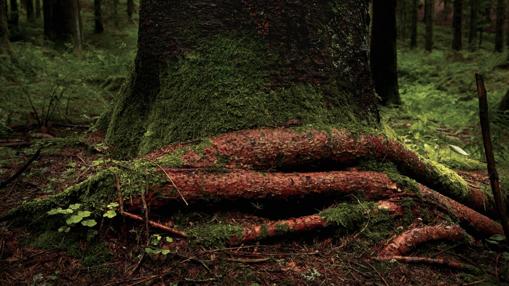 Are we experiencing dystopia today?