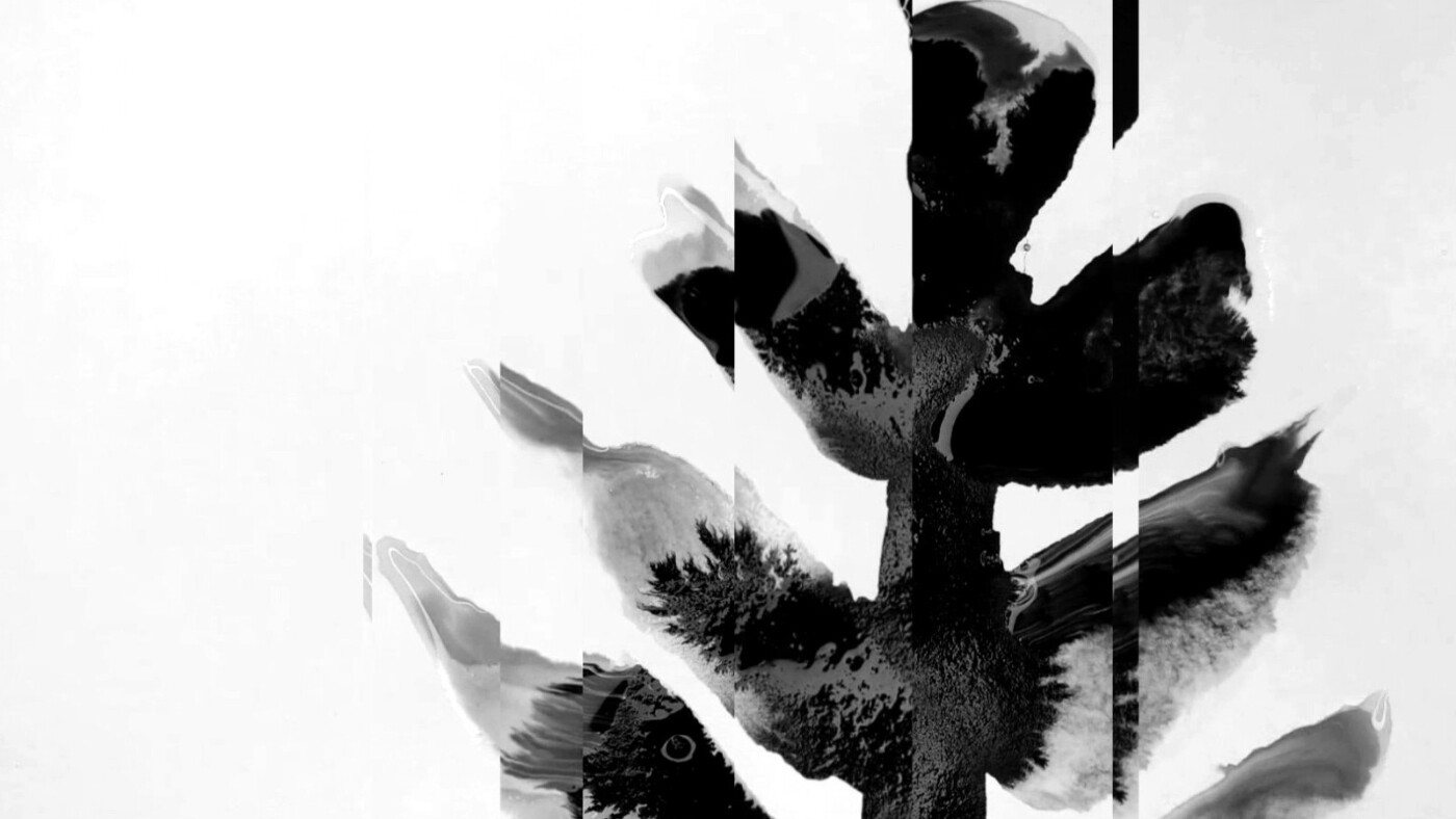 Flowers and Dust