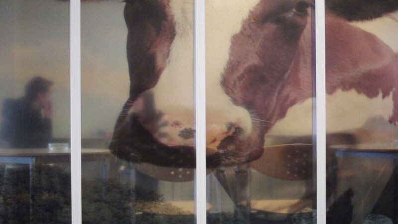 I Just Wanted to Record the Workplace I Am Part of