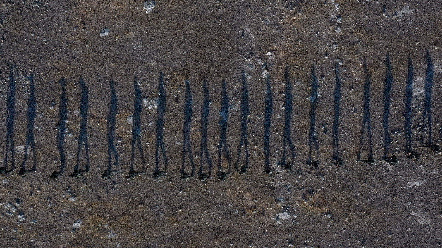 The voices of those we don't normally hear are important