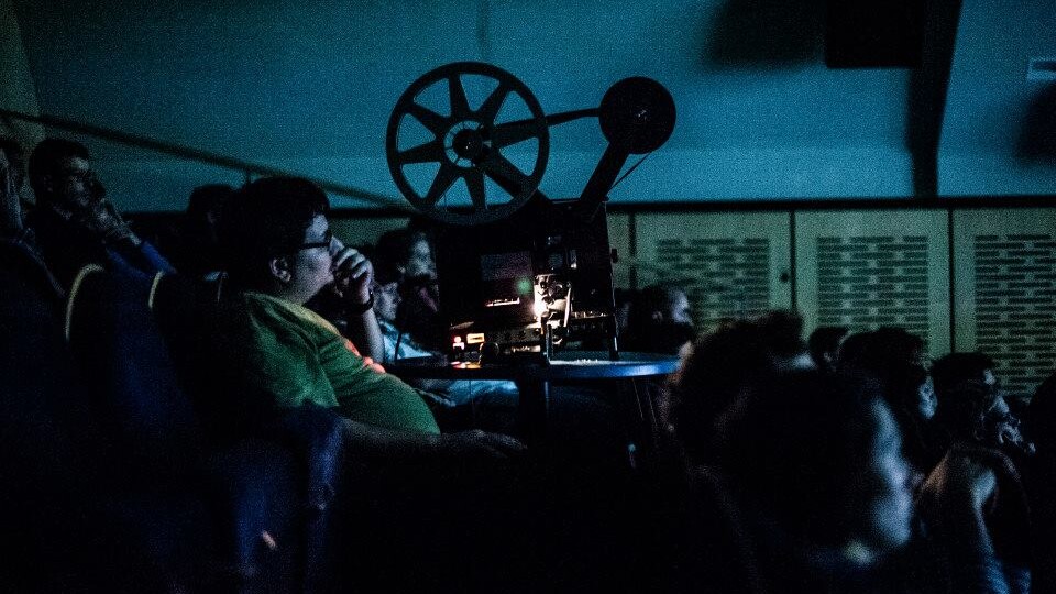 Documentary film and the novel