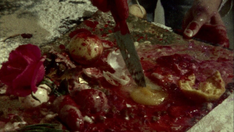 Experiments with food