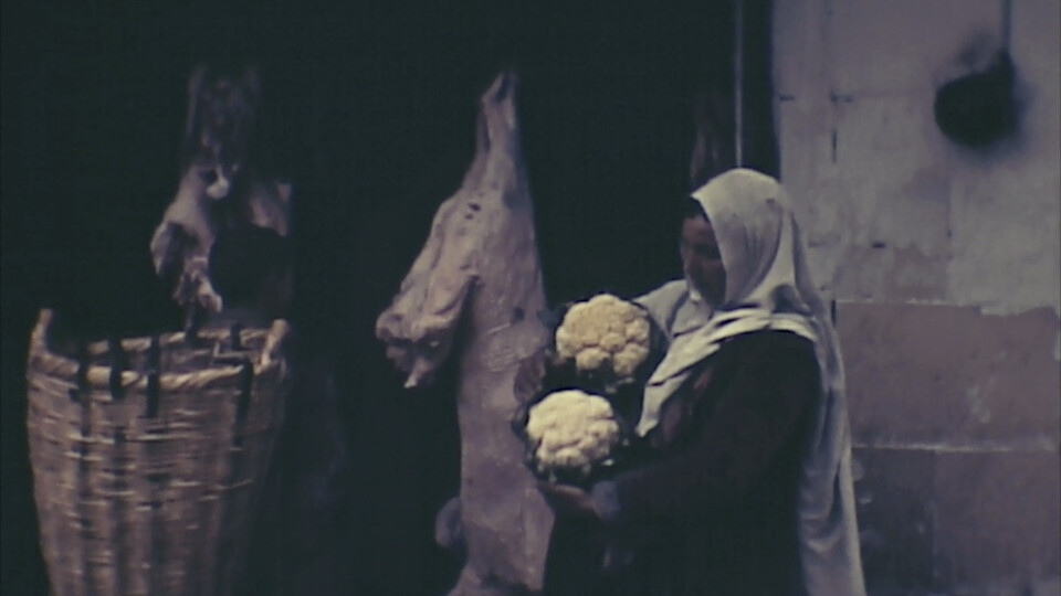 Feminine mystique – Rewriting the female narrative in Terra Femme and Sava