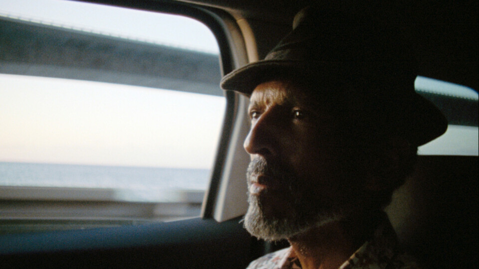 In the billowing night