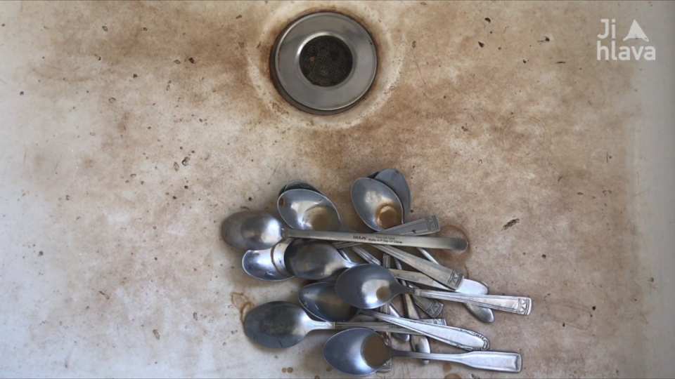 Ji.hlava 22: Leaves / Ji.hlava minutes 5