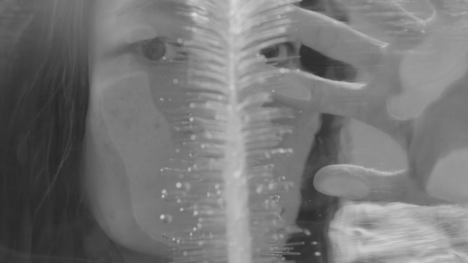 Recently passed, far from over