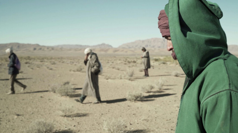 Stones from space and meaning of life