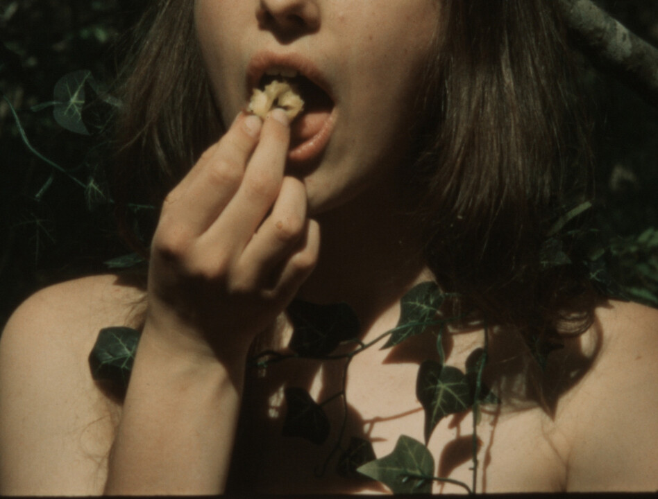 A flower and myself are not enough, there must be sun