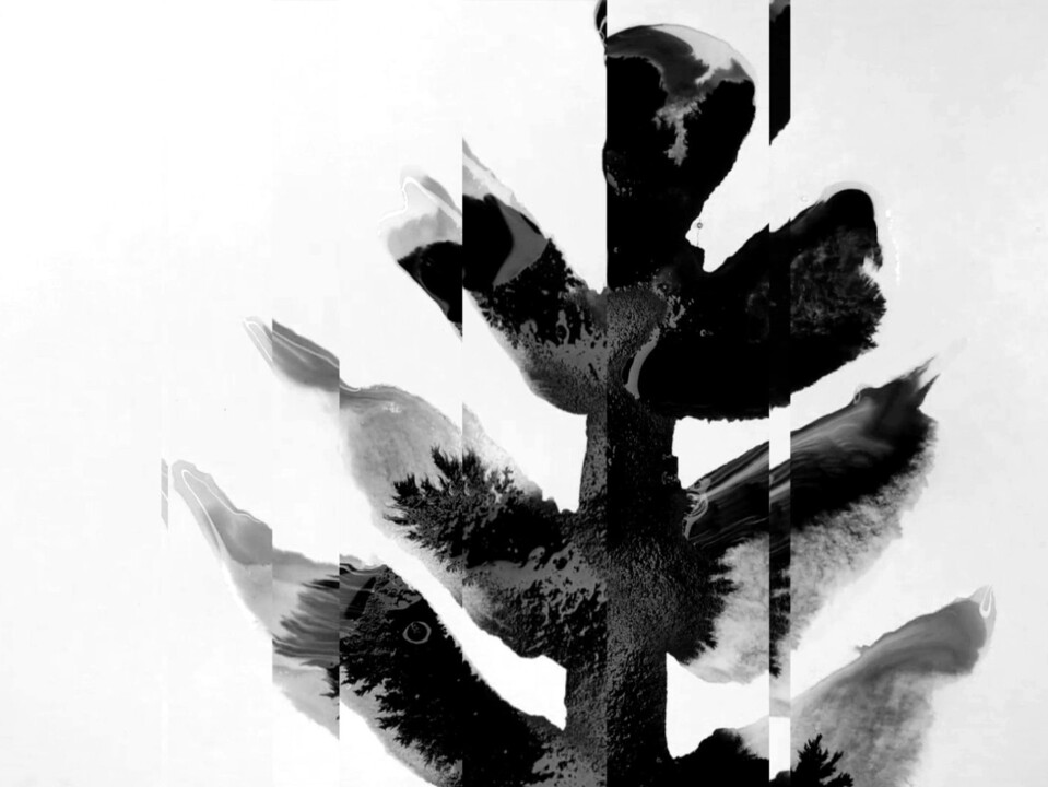 Flowers and Dust